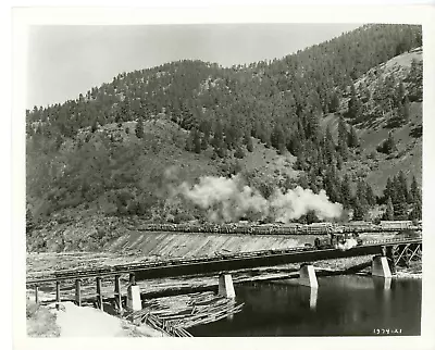 Vintage 8x10 Photo Timberjack 1955 Film Sterling Hayden Vera Ralston David Brian • $14.99