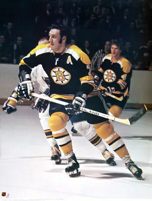 Vintage Original 1973 PHIL ESPOSITO And Bobby Orr Boston Bruins NHL 18x24 POSTER • $35.99