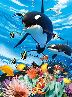 ORCAS KILLER WHALES - 3D LENTICULAR ORCA PICTURE 300mm X 400mm (NEW) • £7.95