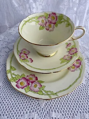Paragon Rare Pink Alexander Rose Vintage Bone China Cup Saucer Plate Set Tea • $45