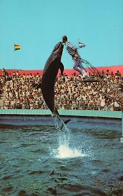 Marineland Of The Pacific CA Bubbles The Whale 1966 Vintage Postcard E6874 • $5