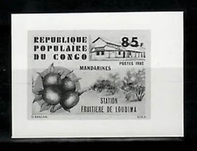 Photo Essay Congo Sc571 Loudima Fruit Packing Station Mandarin. • £2.84