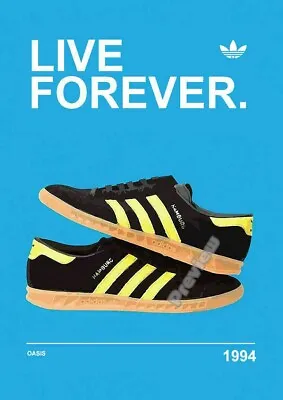 £5.99 • Buy Live Forever Oasis 1194 ADIDAS CASUAL Shoes Print Poster Wall Art Picture A4 +