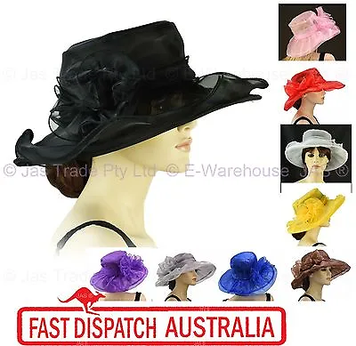 $18.95 • Buy Spring Race Carnival Derby Day Church Wedding Women Ladies Organza Evening Hat