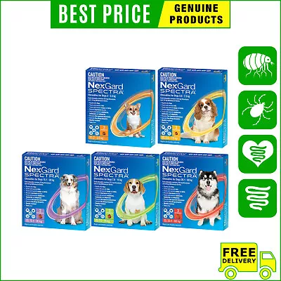 NEXGARD SPECTRA For Dogs Heartworm Flea Worm Treatment 3 Chews FREE Shipping • $63.98