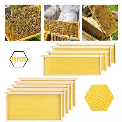 10pcs National Beehive Wired Wax Foundation Sheets And Frames Beekeeping Easibee • £35.95