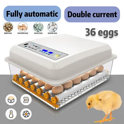 36 Egg Incubator Automatic Chicken Quail Chick Hatcher Incubators For Hatching • $59.99