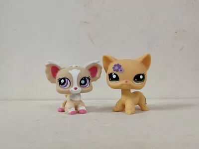 2pcs/lot LPS Toys Littlest Pet Shop Cat Chihuahua Dog #1892#1962 Animal Figures • £7.19