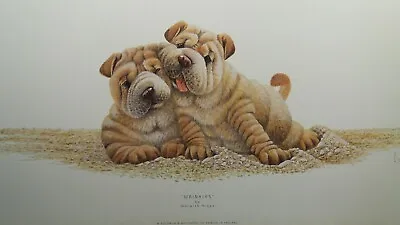 £19.95 • Buy Wrinkles By Warwick Higgs Dogs Puppies Sharpei