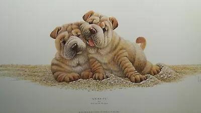 £19.95 • Buy Wrinkles By Warwick Higgs Dogs Puppies Sharpei