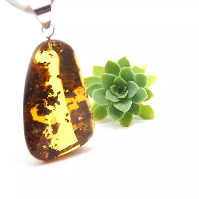 Mexican Amber Pendant With Moss And Botanical Inclusions 7.3 G • $22