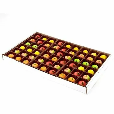 Bergen Marzipan 54 Piece Assorted Fruit Box Tray Net Weight 25 Oz • $39