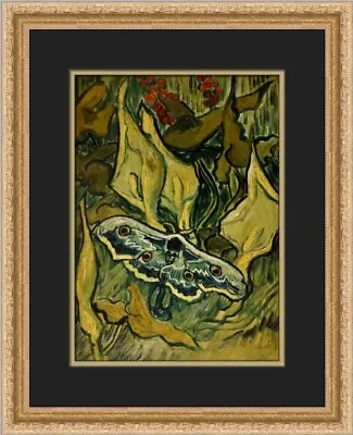 Vincent Van Gogh Death's Head Moth Custom Framed Print • $75