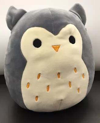 Squishmallows Hoot The Owl 9 X 9 Grey W Gold Feathers Stuffed Animal Kelly Toys • $16