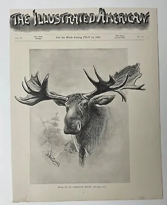 1890 Print Illustrated American Head Of Moose Front Cover Page Only • $6