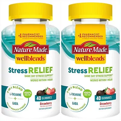 (2 Pack) Nature Made Wellblends Stress Relief 2 In 1 40 Gummies Exp10/2024  • $24.99