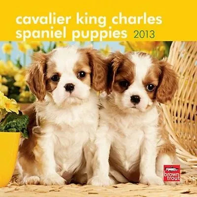 2013 Calendar Cavalier King Charles Spaniel Puppies 2013 Mini Wall Calendar • $11.99