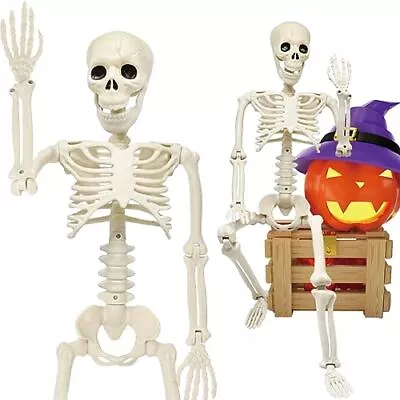 3FT Life Size Posable Halloween Skeleton Decorations  • $18.21