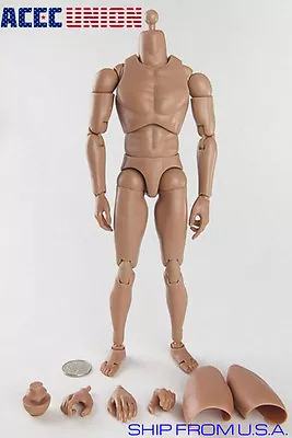 1/6 Male Figure Body Narrow Shoulder Ver 4.0 For Hot Toy TTM18 TTM19 TTM21 U.S.A • $19.94