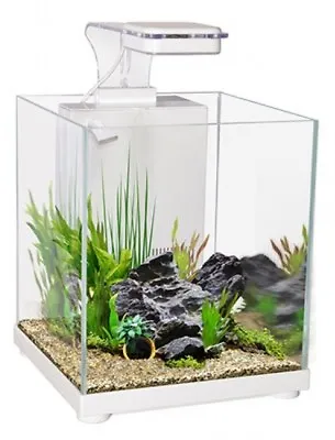 $115 • Buy Aqua One Betta Fighter Fish Sanctuary Aquarium Fish Tank White 10 Litre