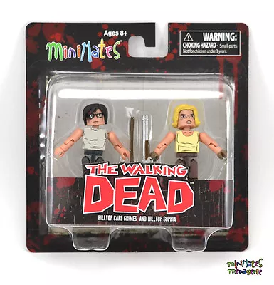 Walking Dead Minimates Series 8 Hilltop Carl Grimes & Hilltop Sopia • $10.19