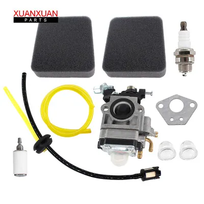 Carburetor 300486 Air Filter 3004156 For Earthquake 43cc Viper Engine E43 E43CE • $14.28