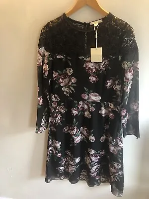 £6.99 • Buy Nougat Floral Knee Length Dress UK 10 - BNWT 