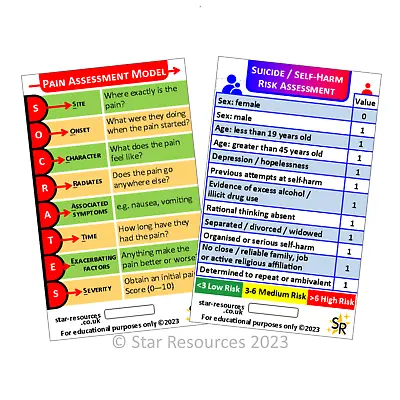 SOCRATES / Mental Health Suicide ID Badge Flash Card Student Paramedic Ambulance • £3.75
