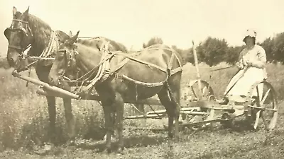 Antique RPPC Photo Horse Team Drawn Farm Field Plow Woman Bonnet Agriculture #62 • $14.99