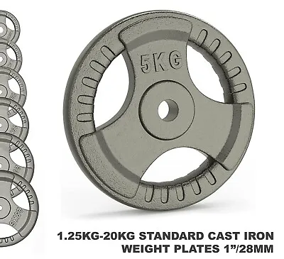 Cast Iron 1.25kg-20kg Fitness Weightlifting Weight Plates Dumbbell Barbell AU • $81.84