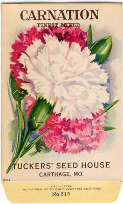 Vintage Flower Seed Packet  CARNATION  1918  NO SEEDS  Original Lithograph • $8