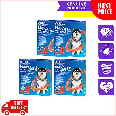 NEXGARD SPECTRA Flea Heartworm Treatment 3612 Chews For 30 To 60 Kg Dogs RED • $241.96