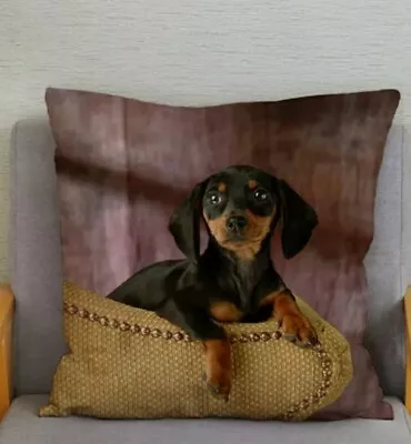 £8.99 • Buy Cute Soft Dachshund Cushion Cover Large Sausage Dog Lover Novelty Gift