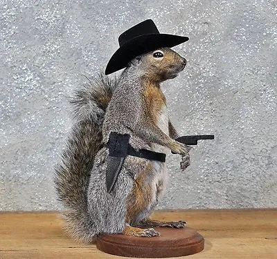 Cowboy Squirrel Taxidermy Animal Statue On Base Home Or Office Gift • $449.99