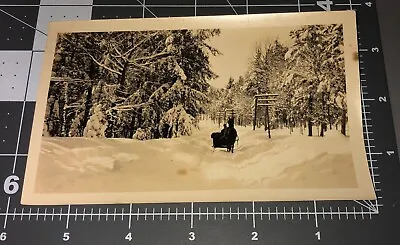 WINTER Horse Drawn Carriage Sleigh Bells Snow Scene Vintage Snapshot PHOTO • $9.95