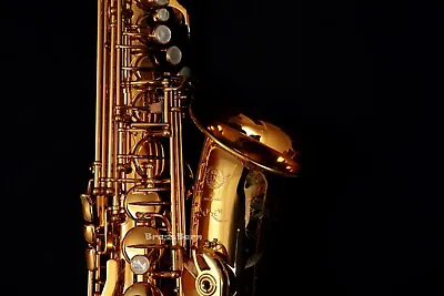 New Selmer Paris Supreme Alto Saxophone • $7599