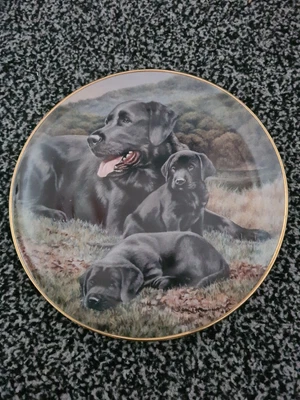 £9.40 • Buy ‘Like Father Like Son’ Collectors 8” Plate By Nigel Hemming Black Labrador Dogs