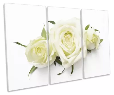 Cream Rose Flowers Floral Print TREBLE CANVAS WALL ART Picture White • £44.99