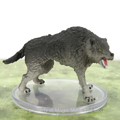 Wild Shape Polymorph ~ DIRE WOLF #13 Icons Realms D&D Spell Effects Miniature • $7.78