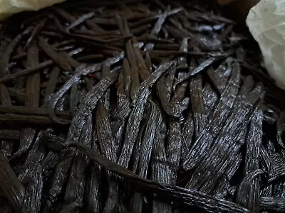 Fresh Organic Gourmet Vanilla Beans Grade A - 10 Lb. - Bulk Vanilla Beans. • $699