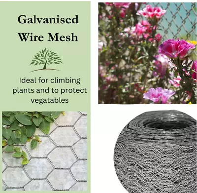 Wire Mesh Fencing Garden Chicken Rabbit Dog Fox Plant Various Sizes Barbed Wire • £11.99