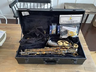 Cannonball Big Bell Stone Series Nickel & Gold Alto Saxophone Sax With Case NICE • $2899