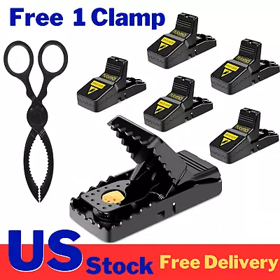 6 Pack Mouse Traps Rat Mice Killer Snap Trap Power Rodent Heavy Duty Pest Trap • $13.91