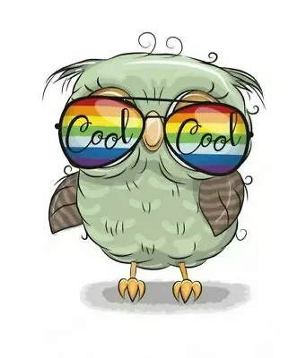$5.69 • Buy Green Baby Owl Patch Heat Transfer Iron On Applique 2.56 X 3.23  Cool Sunglasses