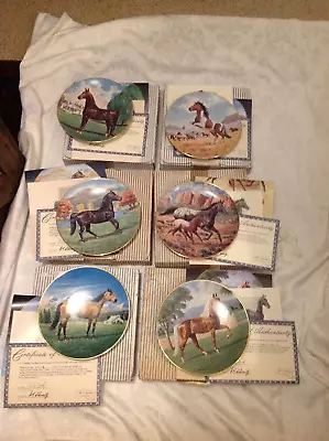 6 X Boxed Purebred Horses Of The America's Collector Plates • £27.95