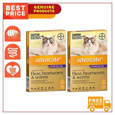 ADVOCATE Flea Heartworm And Worm Control For All Sizes Cats 12 Pipettes AU Shop • $165.97