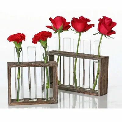£13.29 • Buy Wall Hanging Glass Planters Propagation Station Test Tube Vase Flower Pots 2021