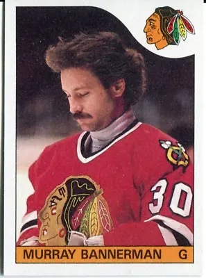 1985-86 Topps Hockey Card - Murray Bannerman Card #27 • $1.99