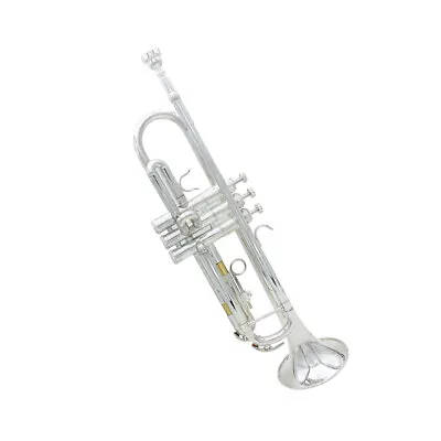 Trumpet Bb B Flat Brass Exquisite With Mouthpiece  E8O5 • $149.54