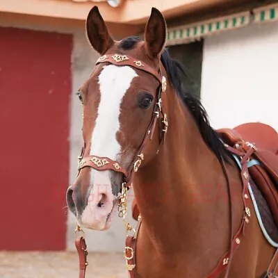 New Horse Engraved Gold Inlay Tack Genuine Tan Leather Spanish Bridle & Reins • $189